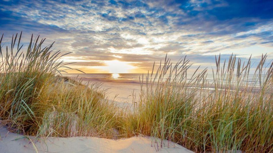 Appartement, Kaap 123 - Ameland Голлюм Екстер'єр фото